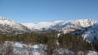fra feltet